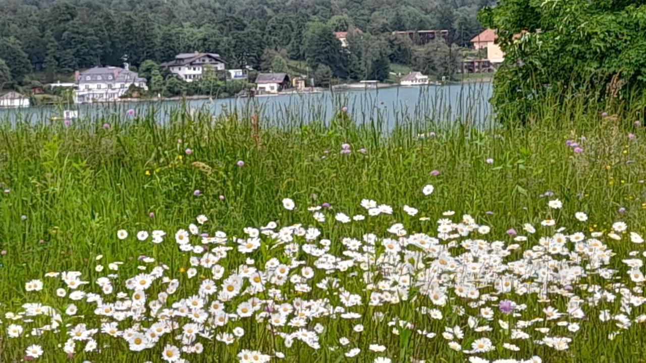 Glanz Und Gloria Velden! Woerthersee In 5 Min Zu Fuss Erreichbar! Velden am Wörthersee Eksteriør billede