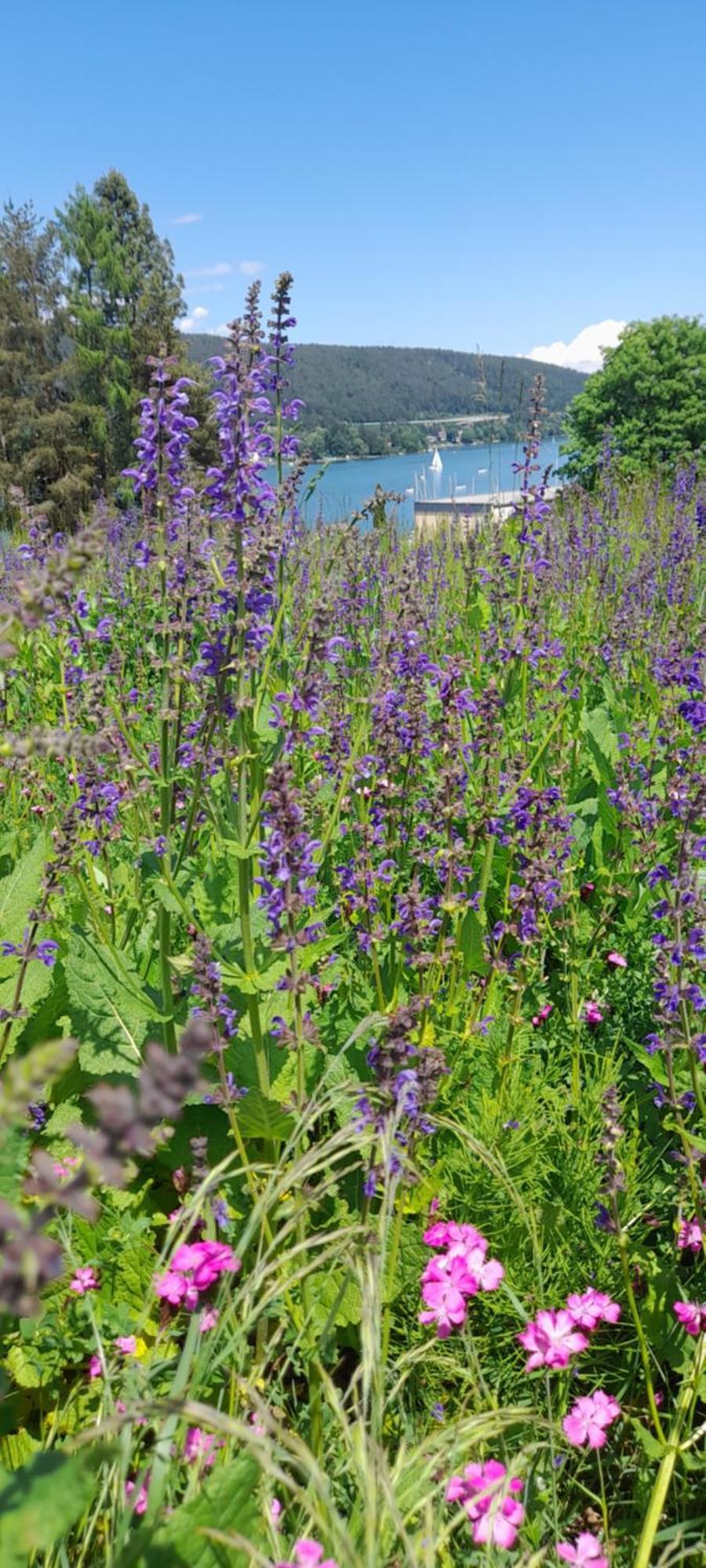 Glanz Und Gloria Velden! Woerthersee In 5 Min Zu Fuss Erreichbar! Velden am Wörthersee Eksteriør billede